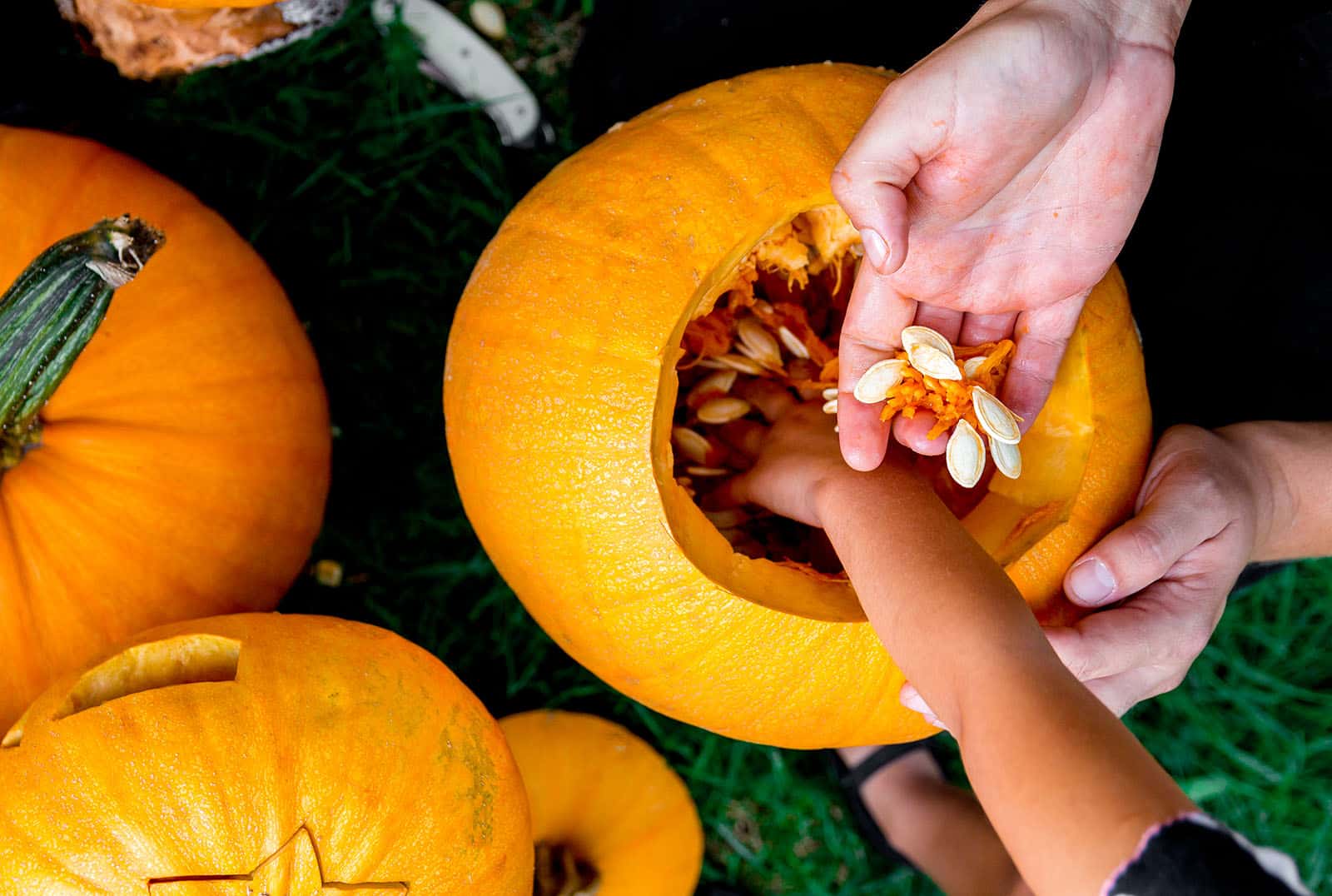 Pumpkin Craving