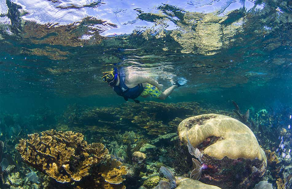 Snorkeling