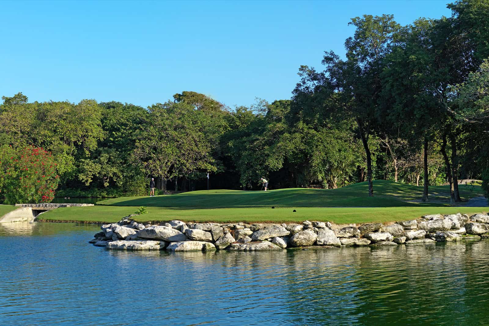 a golf course with rocks and trees