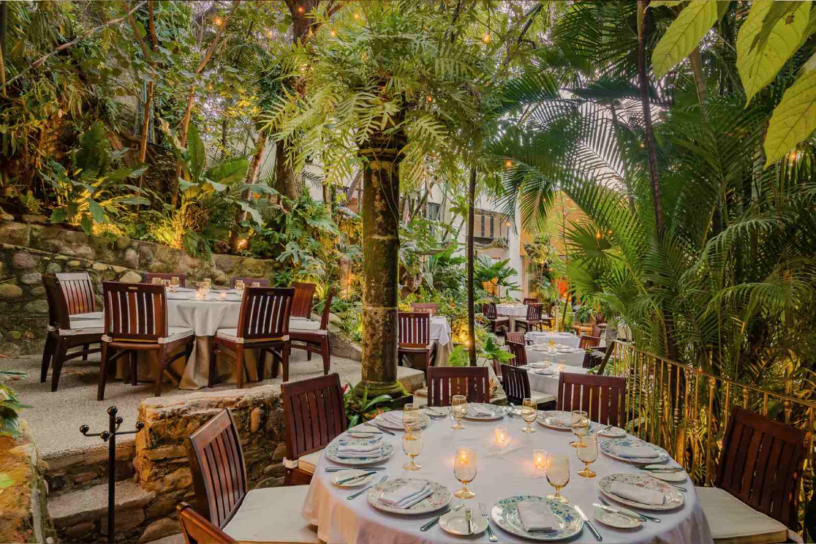cafe des artistes hard rock vallarta