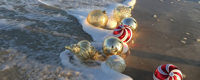 winter activities in Hard Rock Hotel Vallarta
