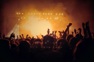 people enjoying a music concert