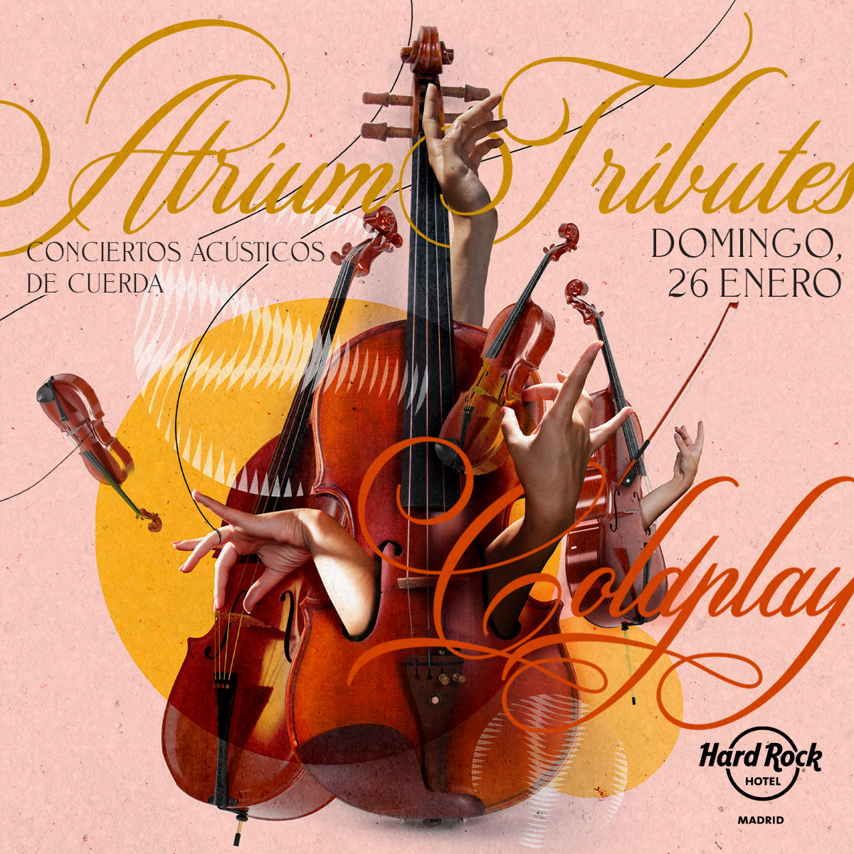 Atrium Quartet - string instruments acoustic concerts