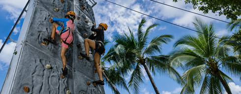 a person climbing a rock wall