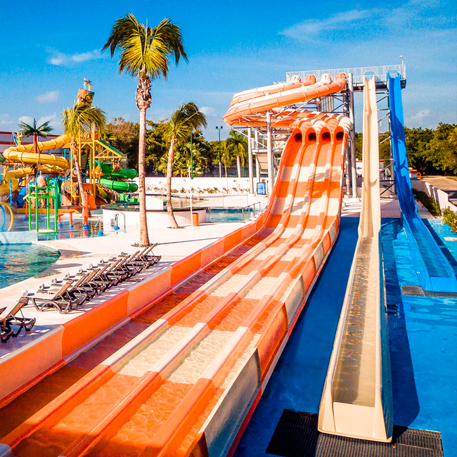 shot of multiple slides
